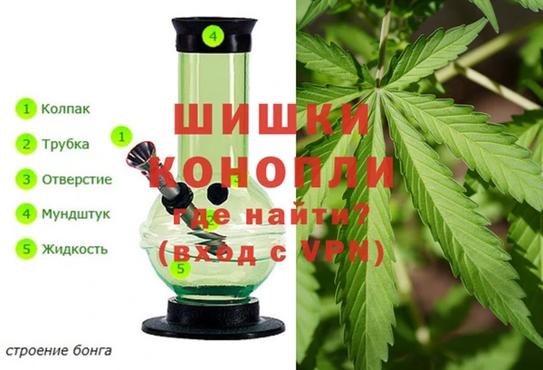 крисы Балахна